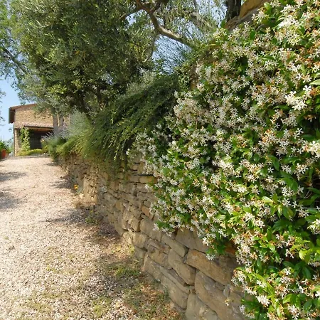Il Podere Dei Mandorli * SantʼArcangelo